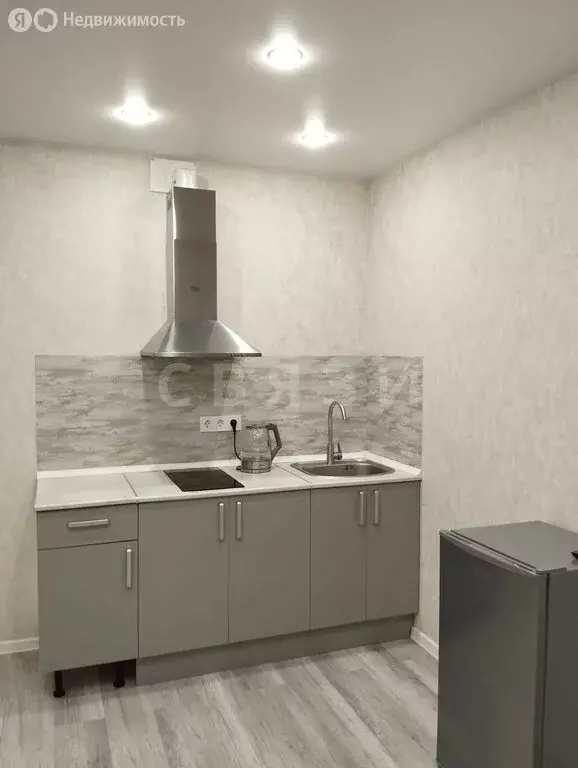 Квартира-студия: деревня Патрушева, улица Александра Пушкина, 16 (25.9 ... - Фото 1