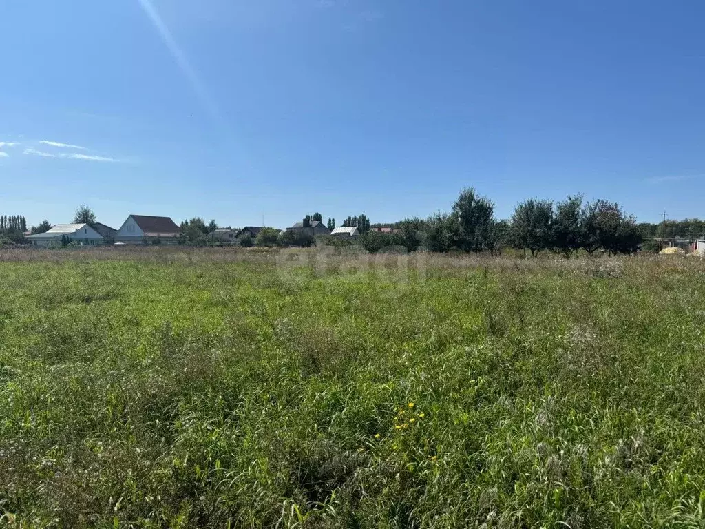 Участок в Тамбовская область, Тамбов городской округ, с. Бокино, Новый ... - Фото 2