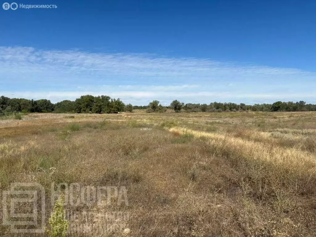 Участок в Киквидзенский район, Озёркинское сельское поселение (20 м) - Фото 1