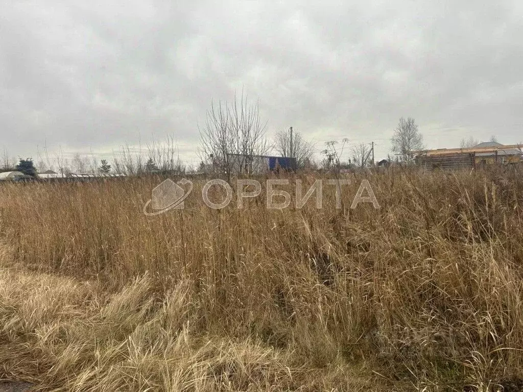 Участок в Тюменская область, Тюмень Поле Чудес садовое товарищество, ... - Фото 1