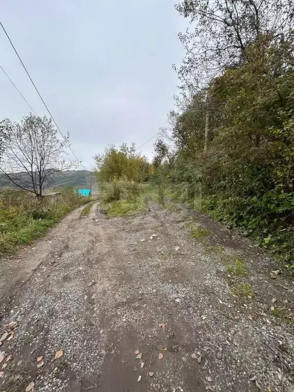 Участок в Алтай, Горно-Алтайск Вишенка СНТ,  (6.43 сот.) - Фото 1