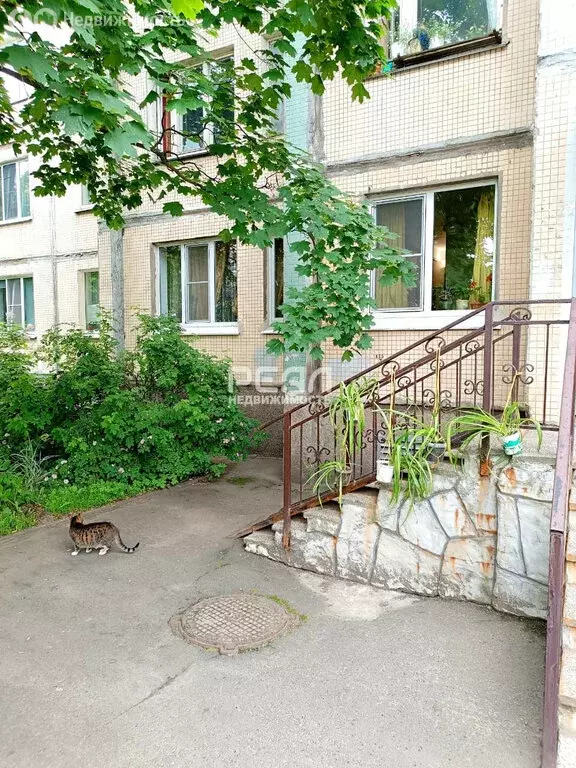 1-комнатная квартира: Санкт-Петербург, проспект Косыгина, 28к5 (32.7 ... - Фото 1