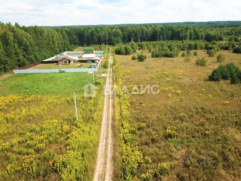 Участок в Владимирская область, Судогодский район, Лавровское ... - Фото 1