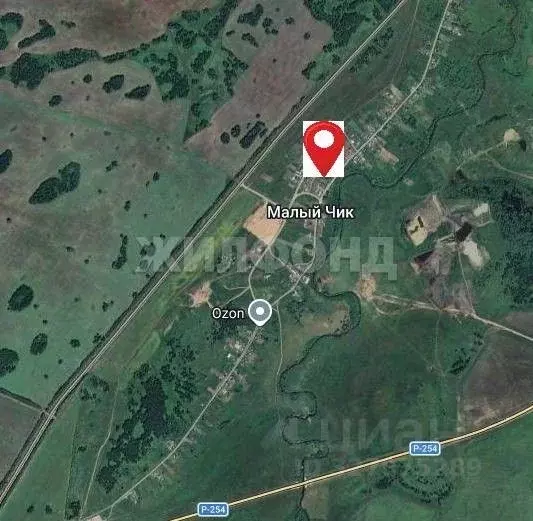 Участок в Новосибирская область, Коченевский район, д. Чик ул. Новая ... - Фото 1