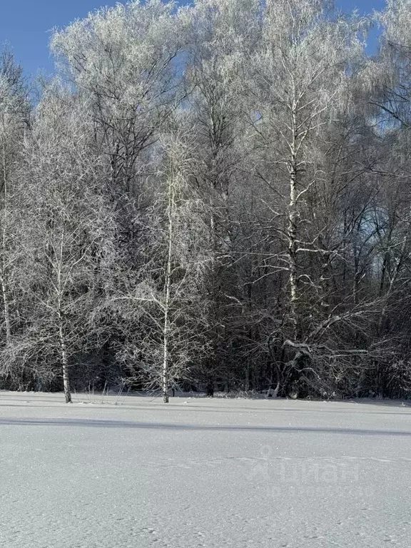 Участок в Тульская область, Заокский район, Малаховское с/пос, Нова ... - Фото 2