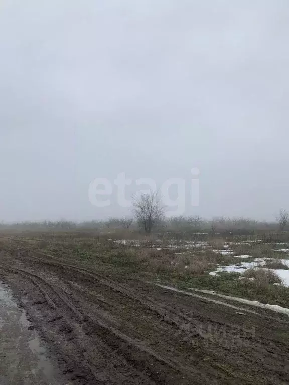 Участок в Ростовская область, Азов Азовский район, Х-Виллаж кп, ул. ... - Фото 1