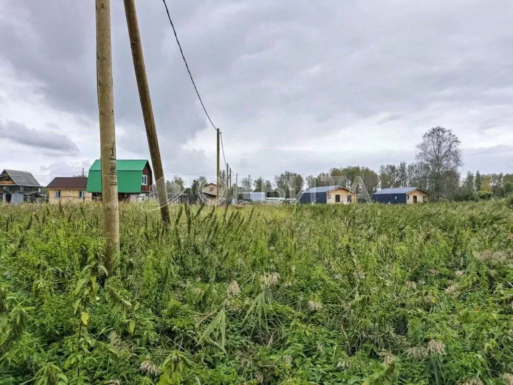Участок в Тюменская область, Нижнетавдинский муниципальный округ, ... - Фото 1
