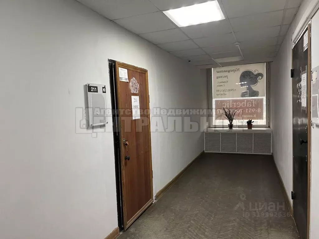 Офис в Смоленская область, Смоленск ул. Кашена, 1 (21 м) - Фото 1