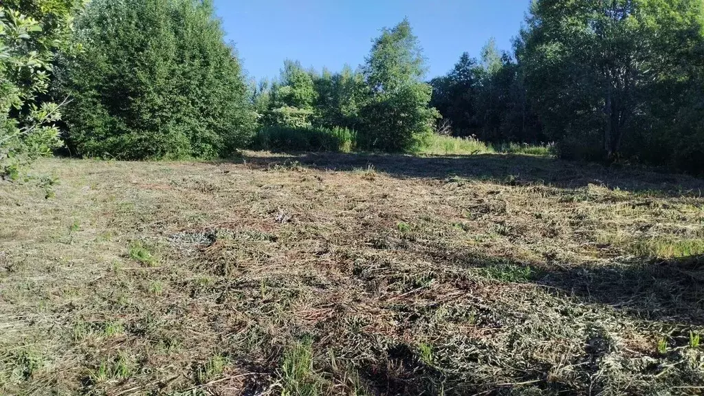 Участок в Ленинградская область, Лодейнопольский район, Алеховщинское ... - Фото 1