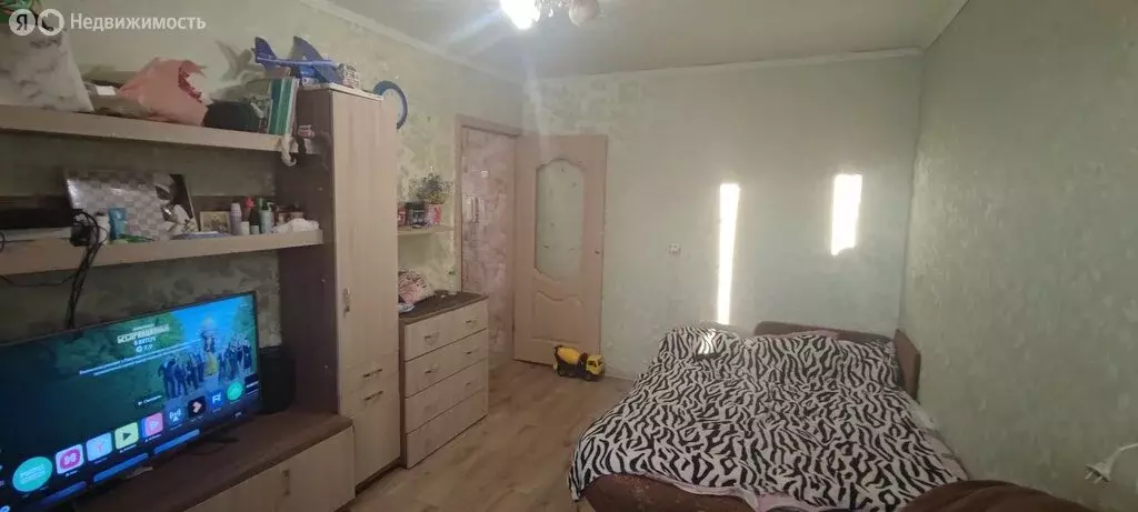 1-комнатная квартира: Дзержинск, Молодёжная улица, 11 (31 м) - Фото 1