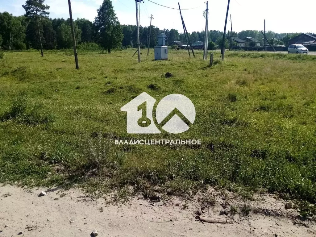 Участок в Новосибирская область, Мошковский район, с. Белоярка  (9.0 ... - Фото 1