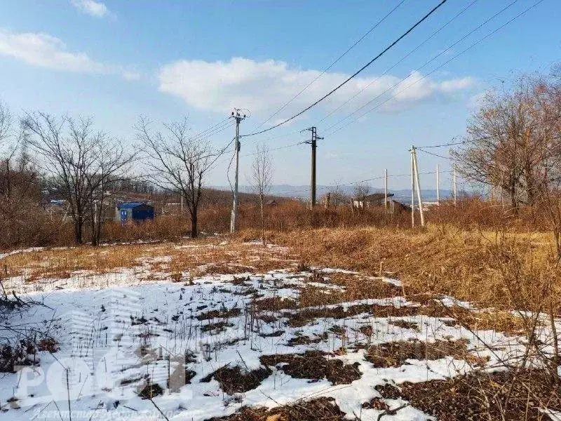 Участок в Приморский край, Артем Солидарность СТ,  (10.0 сот.) - Фото 2