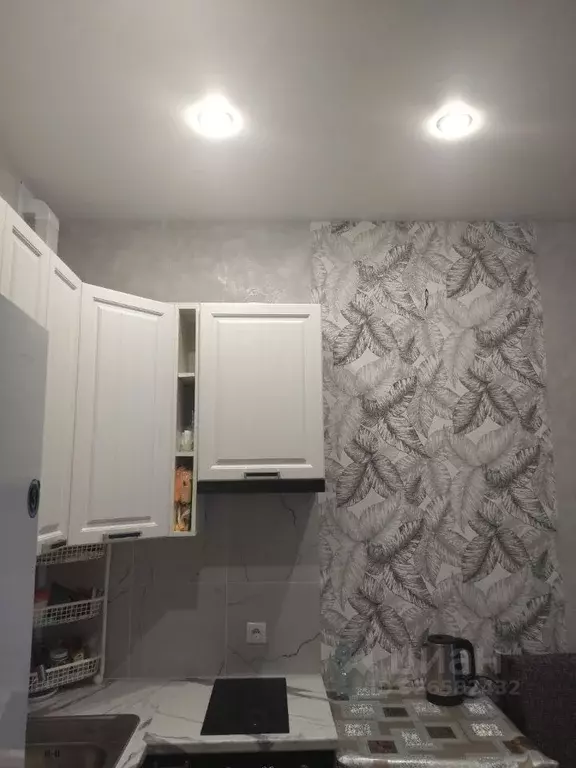 Студия Московская область, Раменское ул. Березовая Роща, 5 (24.0 м) - Фото 2