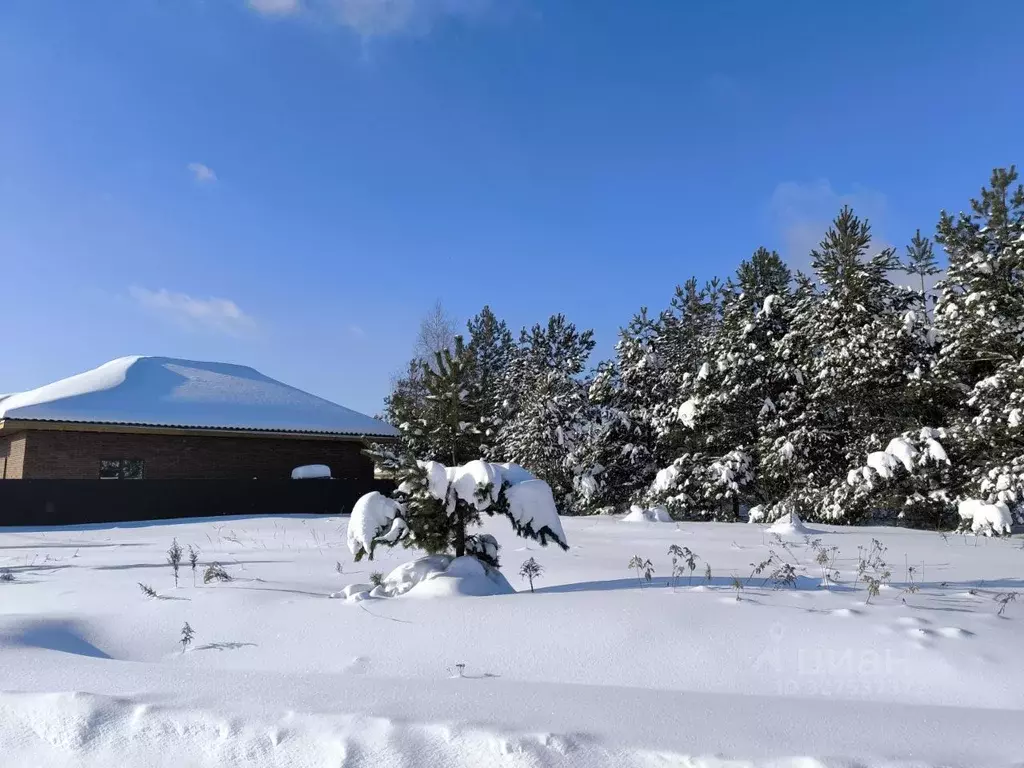 Участок в Московская область, Раменский муниципальный округ, д. ... - Фото 1