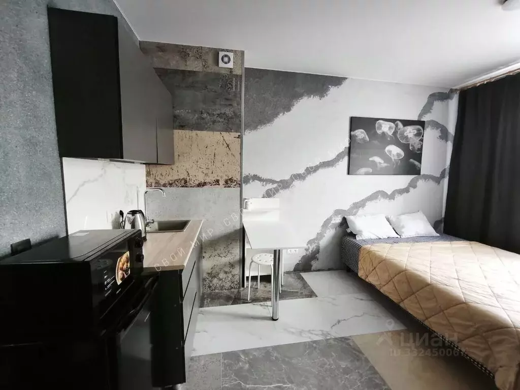 Студия Ленинградская область, Всеволожск Степной просп., 16к5 (20.4 м) - Фото 0