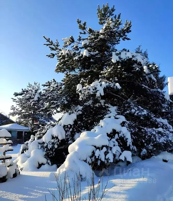 Дом в Тверская область, Осташков Луговой пер., 1 (160 м) - Фото 2
