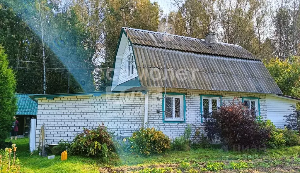 Дом в Нижегородская область, Бор городской округ, д. Свободное  (58 м) - Фото 0