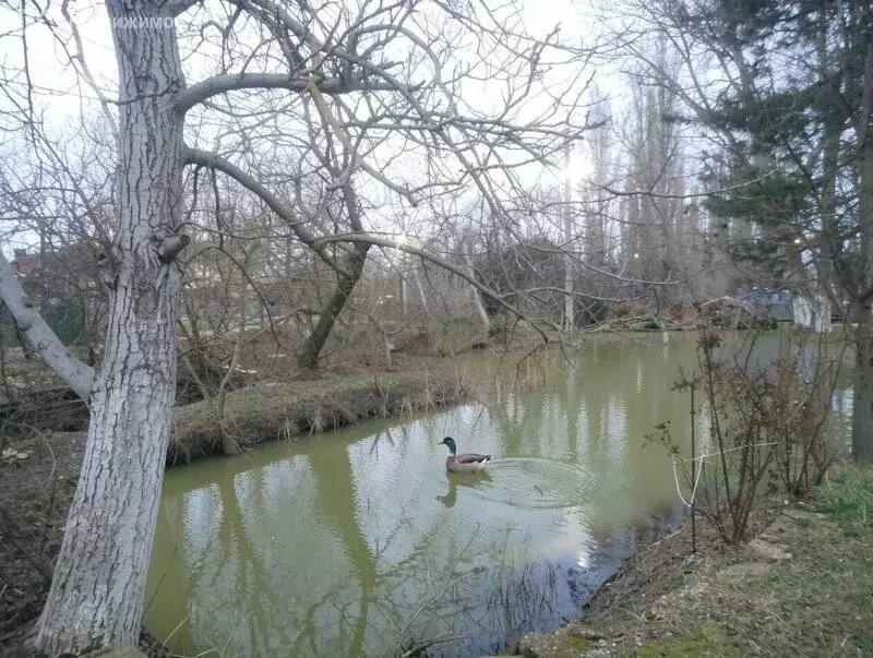 Участок в Краснодарский край, муниципальный округ Анапа, станица ... - Фото 1