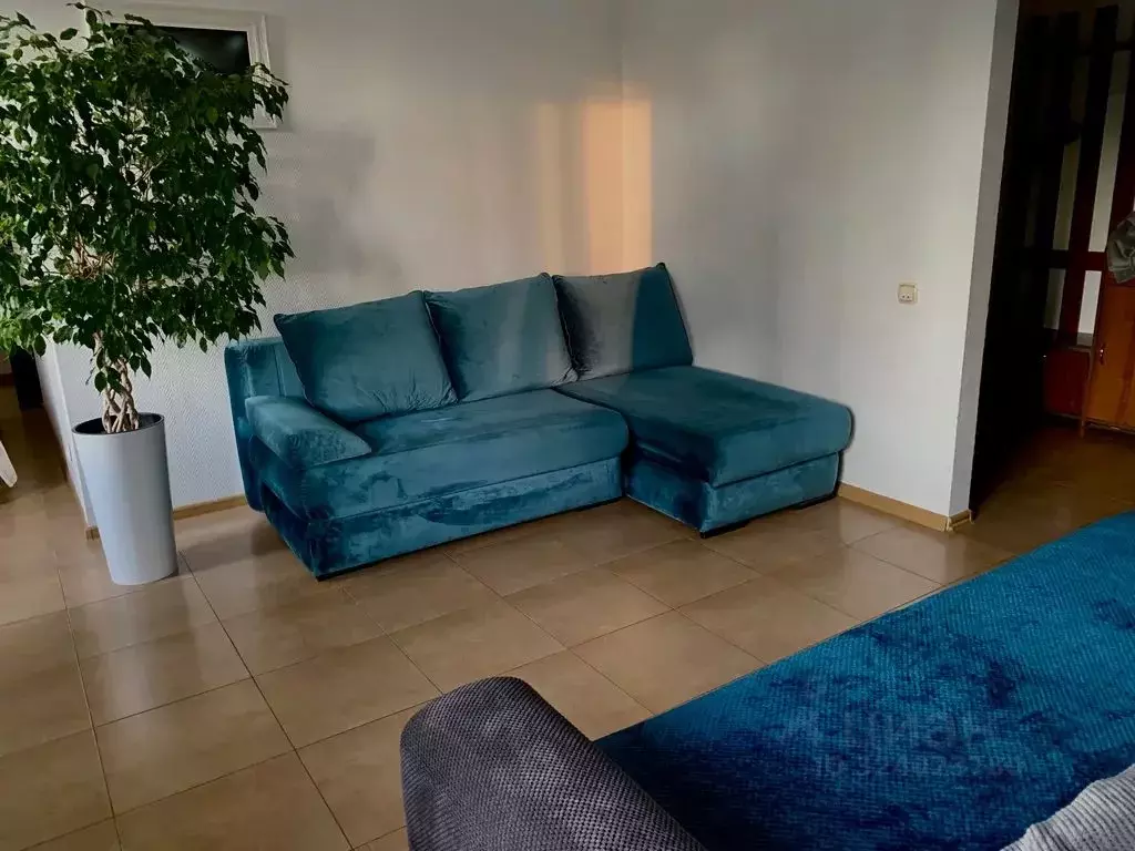 2-к кв. Краснодарский край, Сочи Центральный мкр, ул. Орджоникидзе, 30 ... - Фото 2