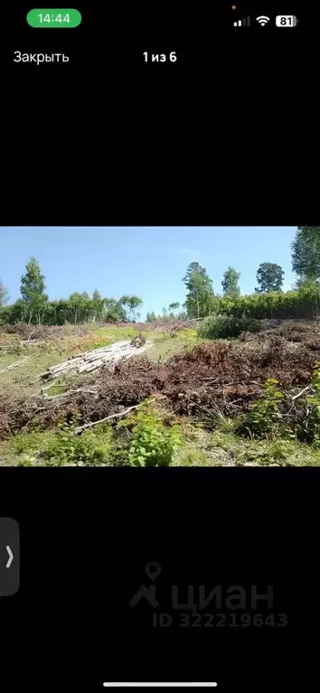 Участок в Иркутская область, Иркутский муниципальный округ, Зеленое ... - Фото 1