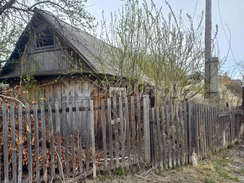 Участок в Новосибирская область, Новосибирск Лилия СНТ, 716 (2.92 ... - Фото 1