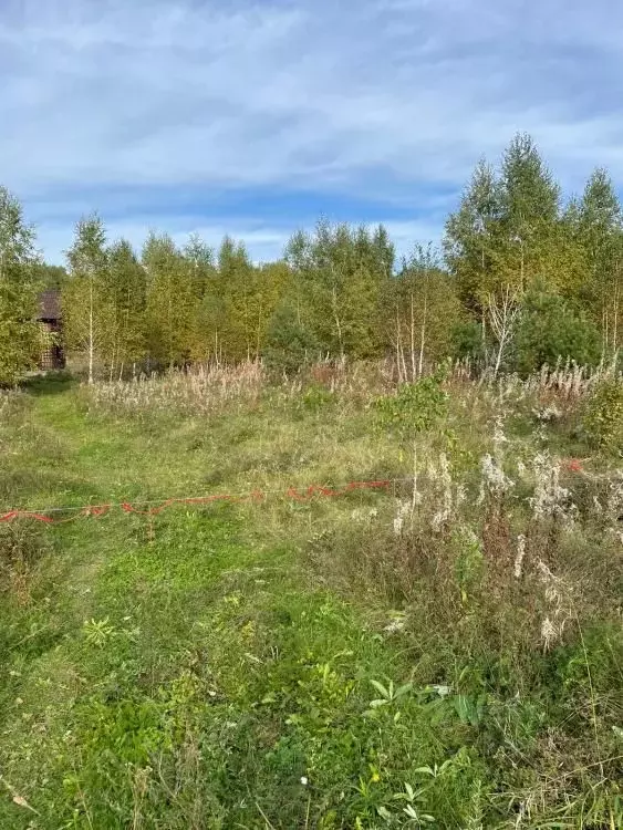 Участок в Иркутская область, Иркутский район, Уриковское муниципальное ... - Фото 0