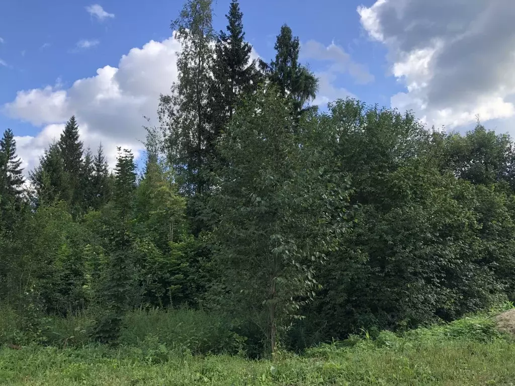 Участок в Московская область, Клин городской округ, Лесной ДСК 130 ... - Фото 0