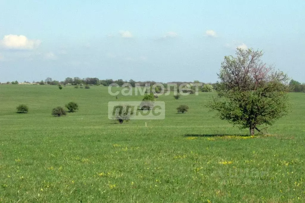 Участок в Челябинская область, Октябрьский муниципальный округ, ... - Фото 1