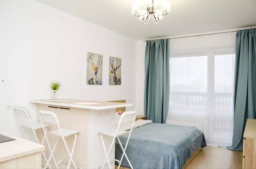 Студия Санкт-Петербург 5-й Предпортовый проезд, 2 (24.6 м) - Фото 2