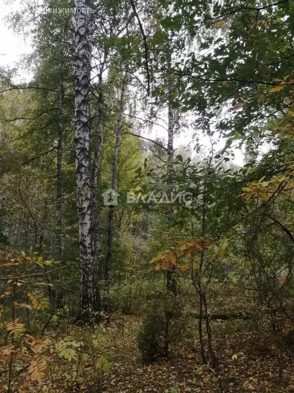 Участок в Нижегородская область, Лысковский муниципальный округ, ... - Фото 1