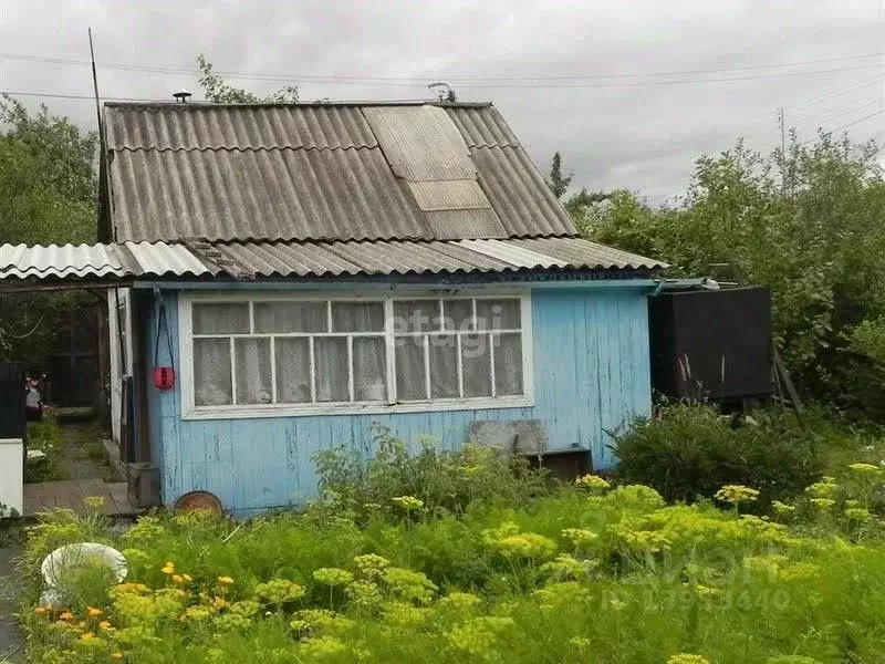 Дом в Тюменская область, Тюменский район, Дружба СНТ  (30 м) - Фото 1