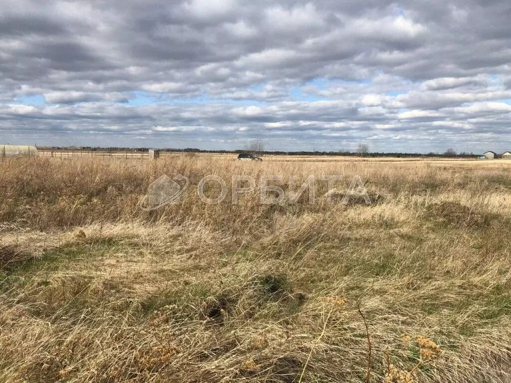 Участок в Тюменская область, Тюменский муниципальный округ, д. ... - Фото 1