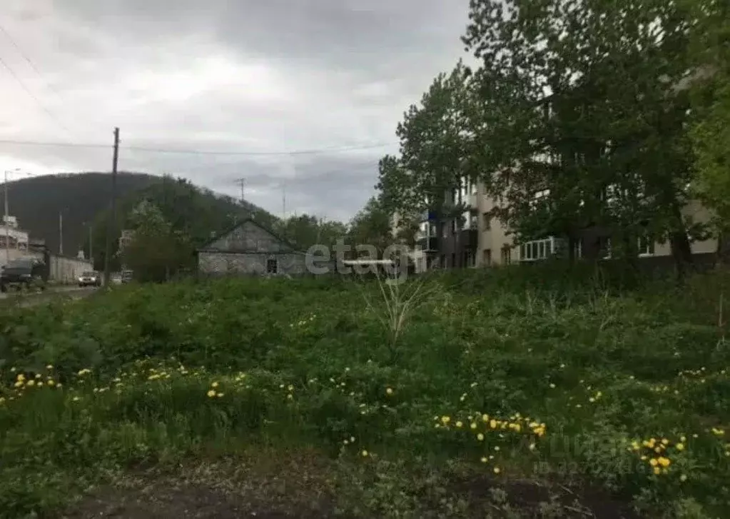 Участок в Камчатский край, Елизово Авачинский пер. (7.38 сот.) - Фото 1