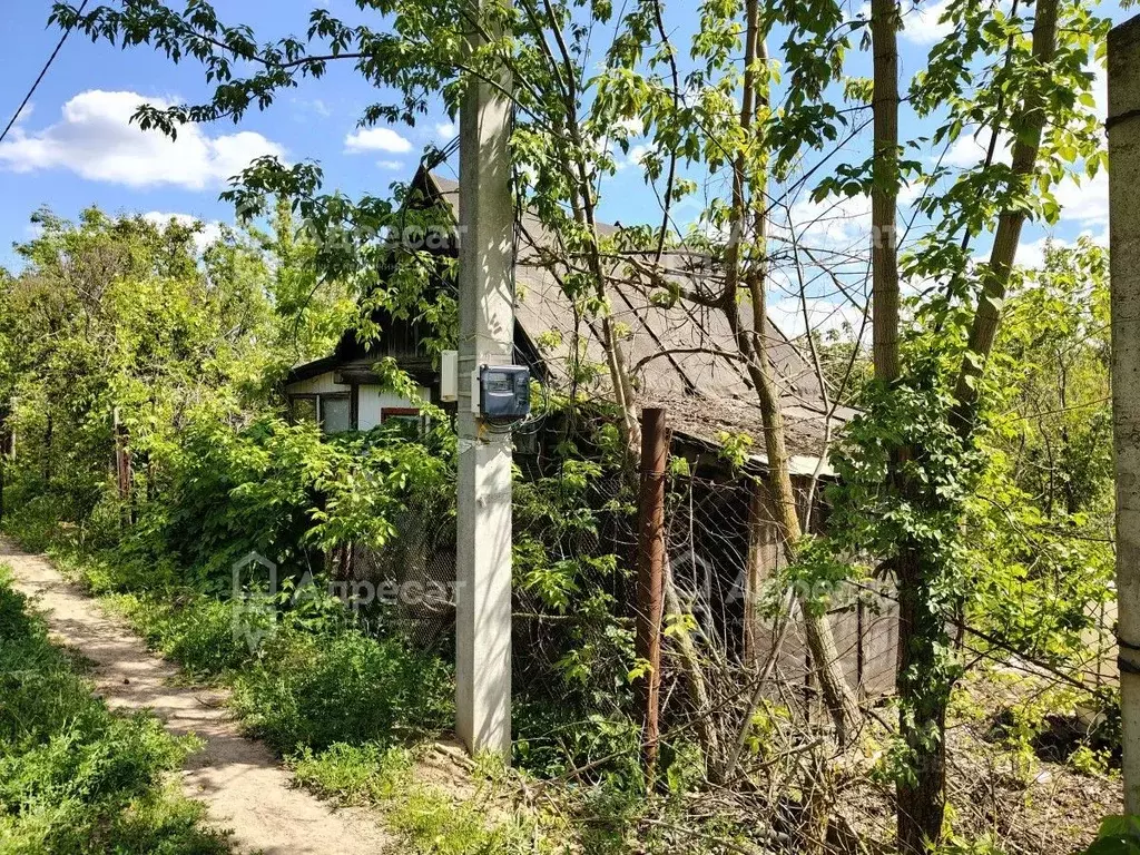 Участок в Волгоградская область, Волгоград Наука СНТ,  (6.2 сот.) - Фото 1