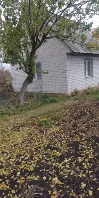 Дом в Курская область, Курский район, Рышковский сельсовет, Взлет СНТ ... - Фото 1