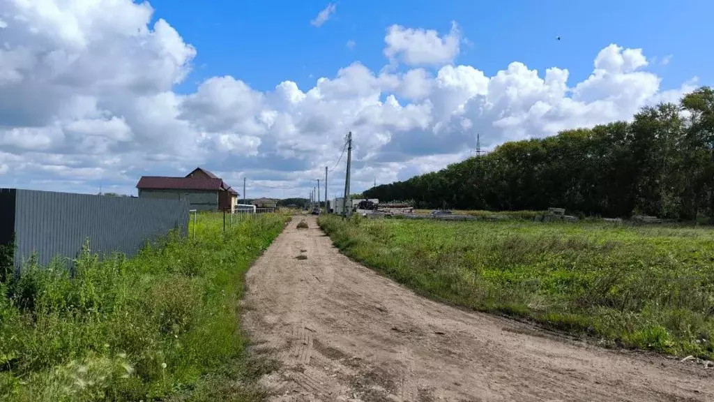 Участок в Омская область, Омский район муниципальный округ, с. Пушкино ... - Фото 2