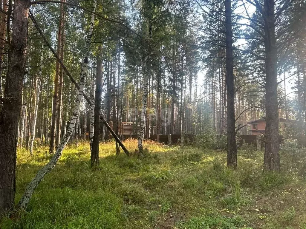 участок в свердловская область, верхняя пышма городской округ, пос. . - Фото 0