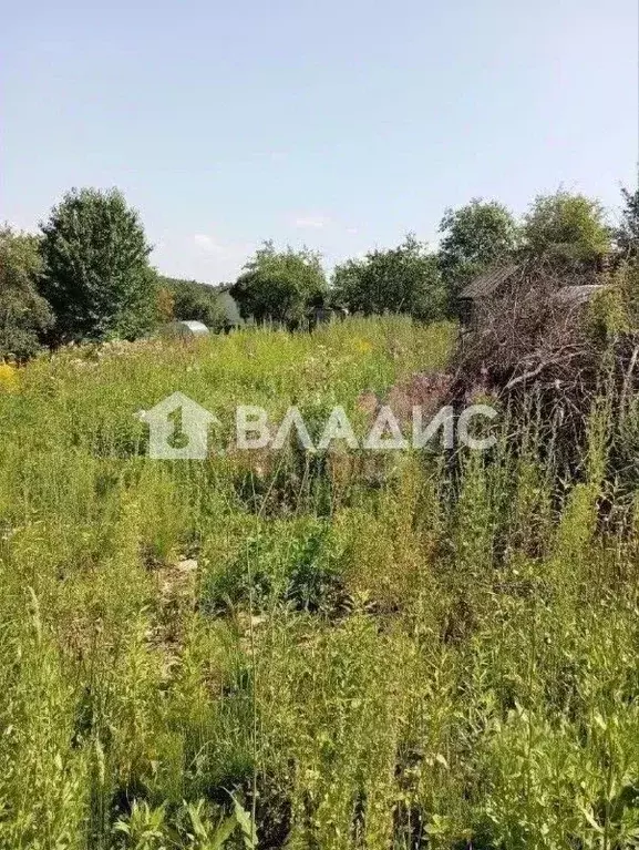 Участок в Нижегородская область, Нижний Новгород Победа СНТ, 122 (5.4 ... - Фото 1