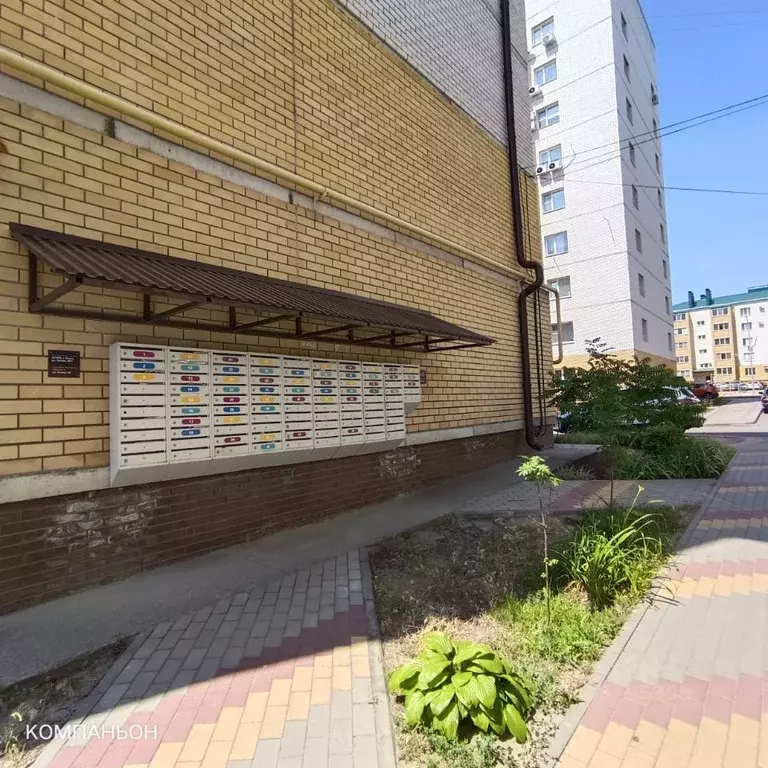 2-к кв. Воронежская область, Лиски ул. Титова, 36/1 (66.0 м) - Фото 0