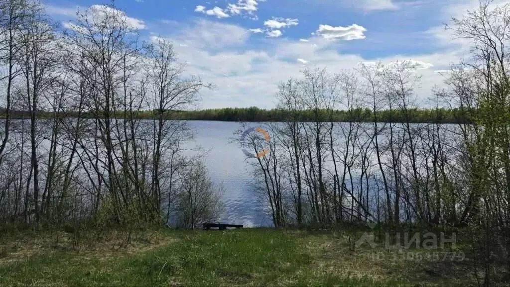 Участок в Новгородская область, Окуловский муниципальный район, ... - Фото 2