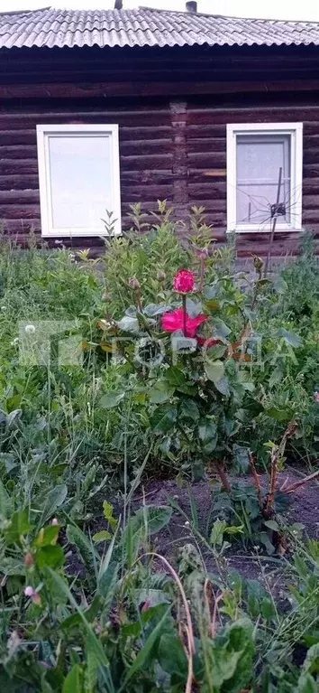 Дом в Алтайский край, Первомайский район, с. Боровиха ул. 2-я ... - Фото 2