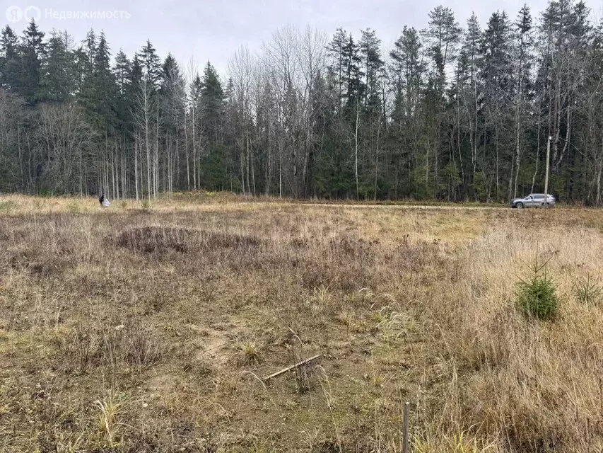 Участок в Ленинградская область, Гатчинский муниципальный округ, ... - Фото 2