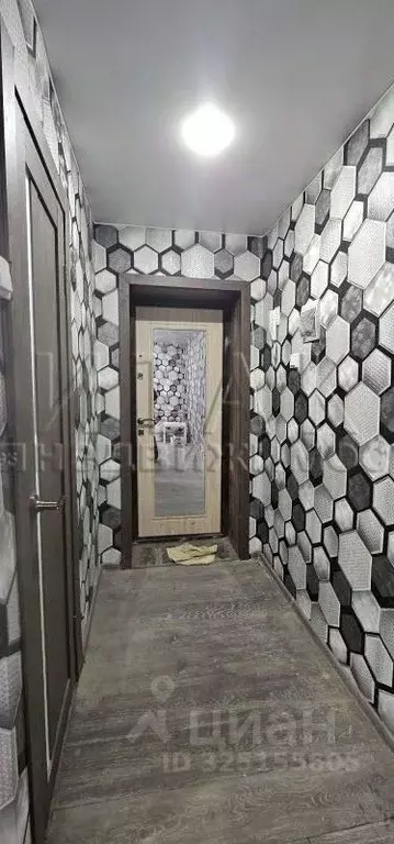 1-к кв. Ленинградская область, Подпорожье Сосновая ул., 13Б (36.7 м) - Фото 2