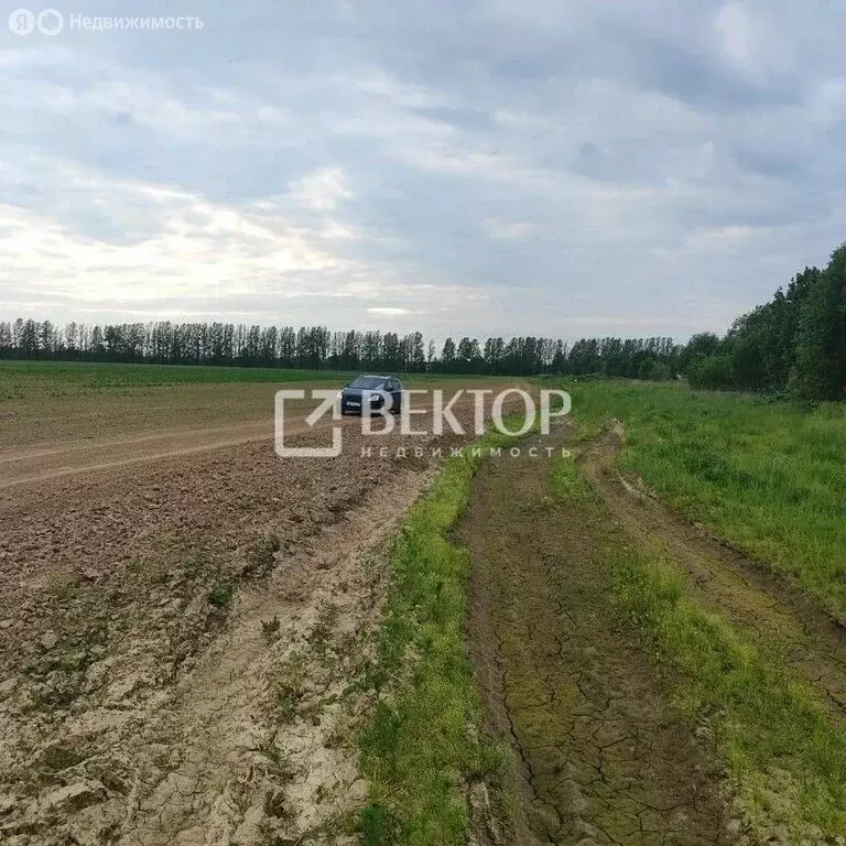 Участок в Григорьевское, Заручейная улица (8.8 м) - Фото 1
