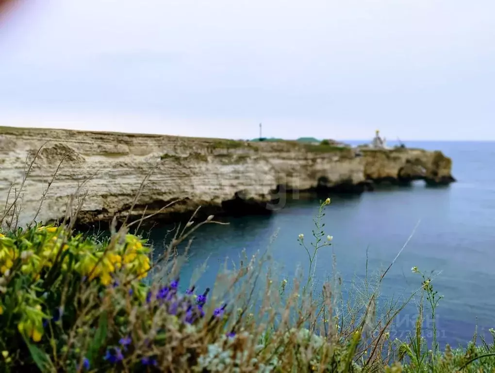Участок в Крым, Черноморский район, Оленевское с/пос, с. Оленевка ул. ... - Фото 1