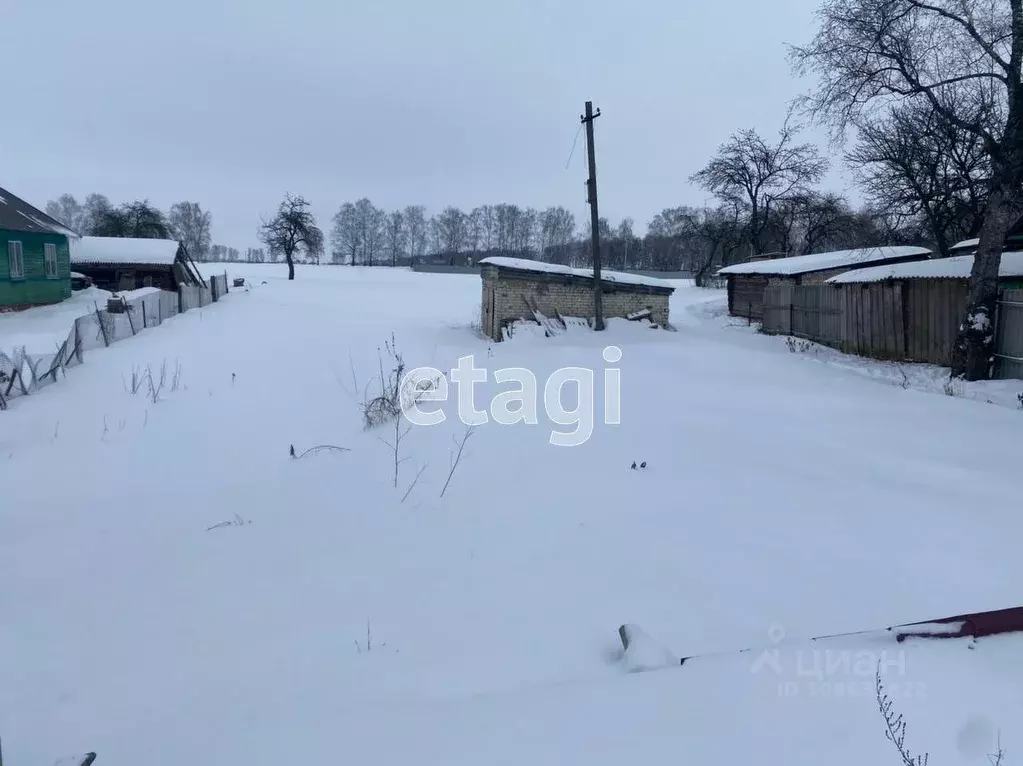 Участок в Брянская область, Выгоничский район, Кокинское с/пос, с. ... - Фото 0