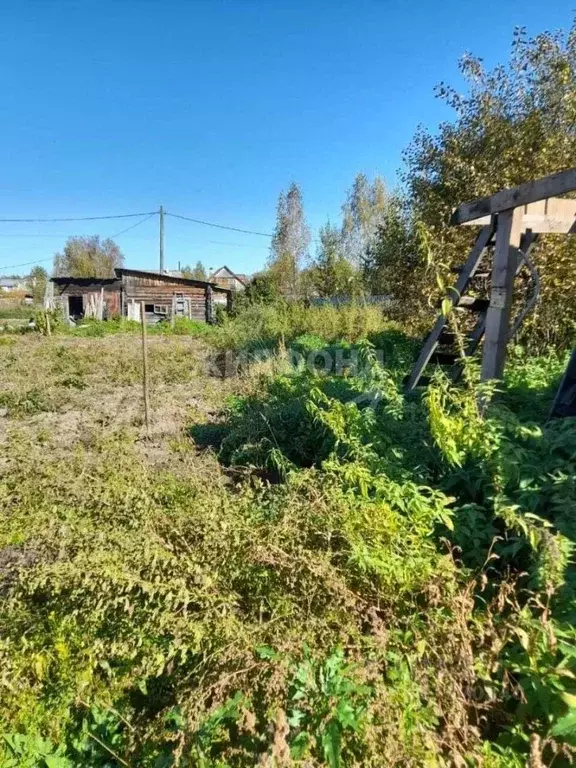 Участок в Томская область, Томский район, с. Кафтанчиково ул. ... - Фото 1