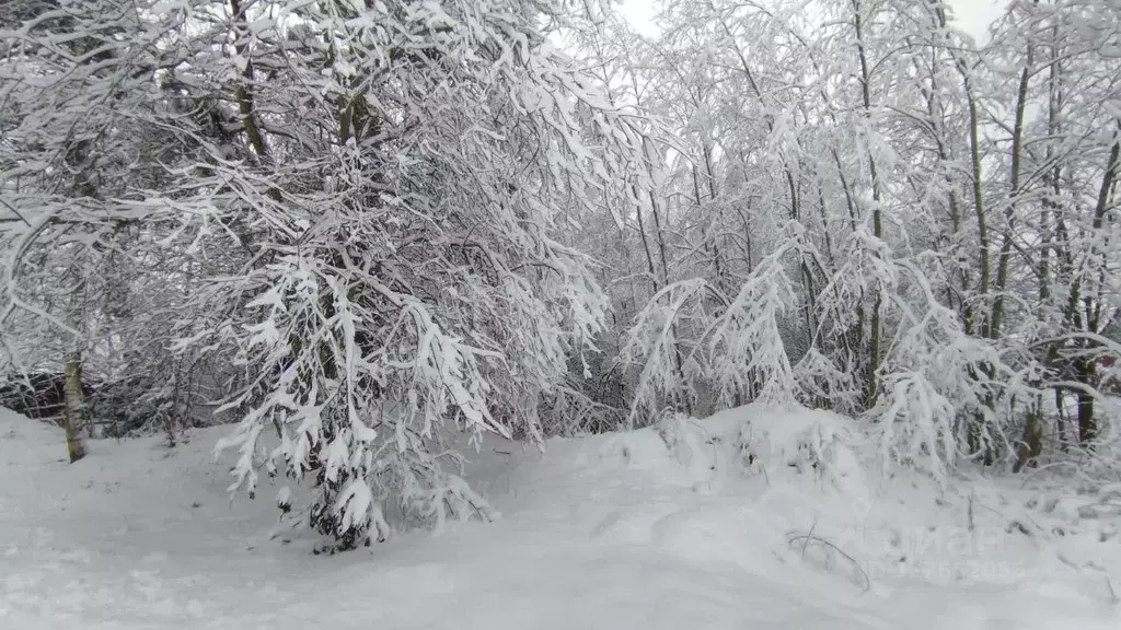 Участок в Ленинградская область, Киришский район, Пчевжинское с/пос, ... - Фото 0
