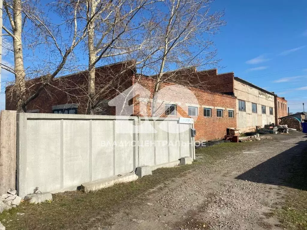Помещение свободного назначения в Новосибирская область, Каргат ул. ... - Фото 0