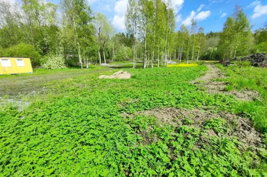 Участок в Карелия, Лахденпохский муниципальный округ, Соролансаари ... - Фото 1